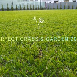 Zakładanie ogrodów Karczew 1