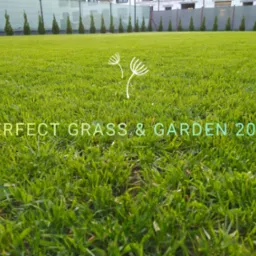 Równy trawnik z bliska, w tle rząd tuj i ogrodzenie posesji, z nałożonym tekstem 'Perfect Grass & Garden 2025' i logo z dmuchawcami.