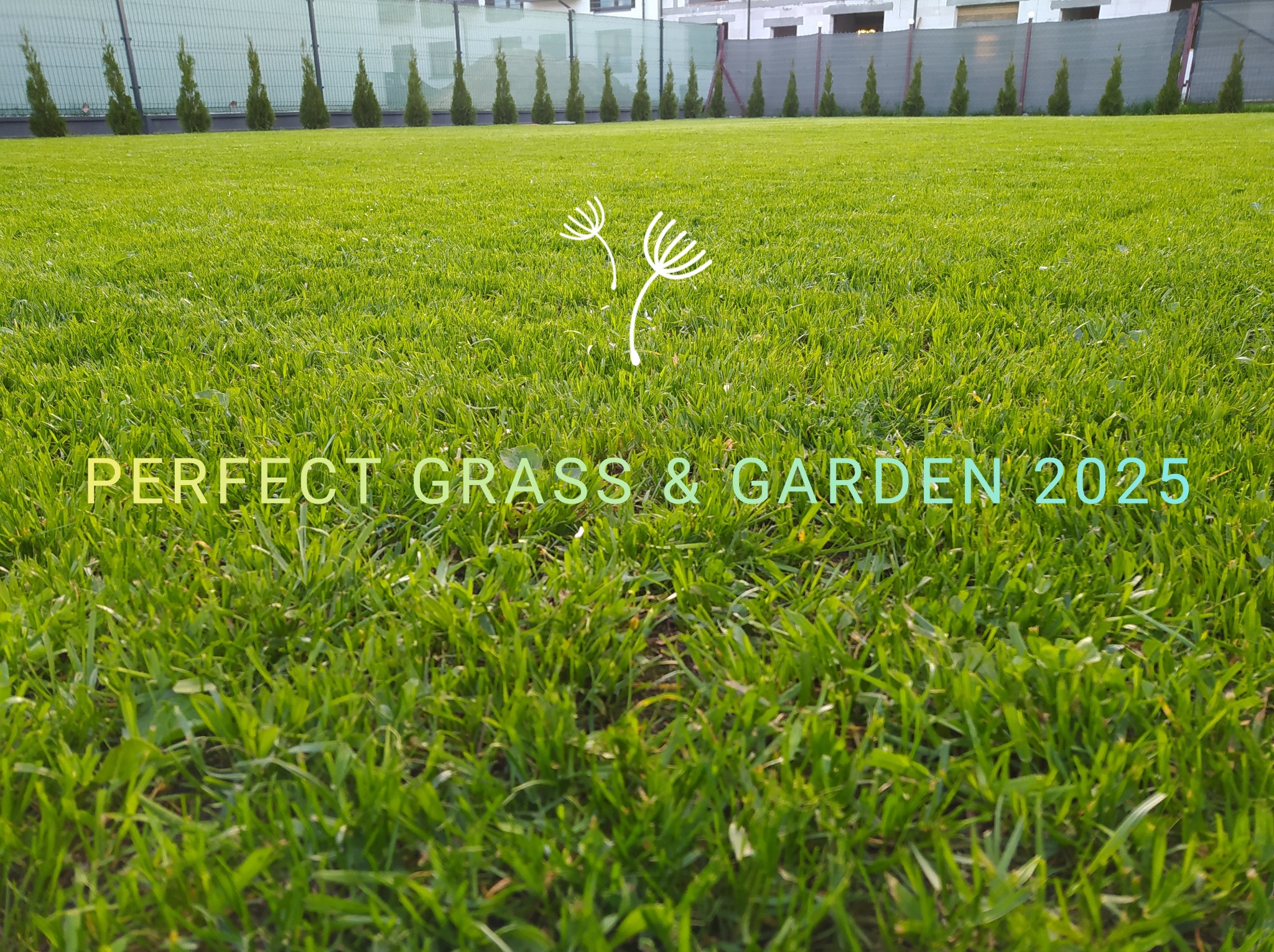 Równy trawnik z bliska, w tle rząd tuj i ogrodzenie posesji, z nałożonym tekstem 'Perfect Grass & Garden 2025' i logo z dmuchawcami.