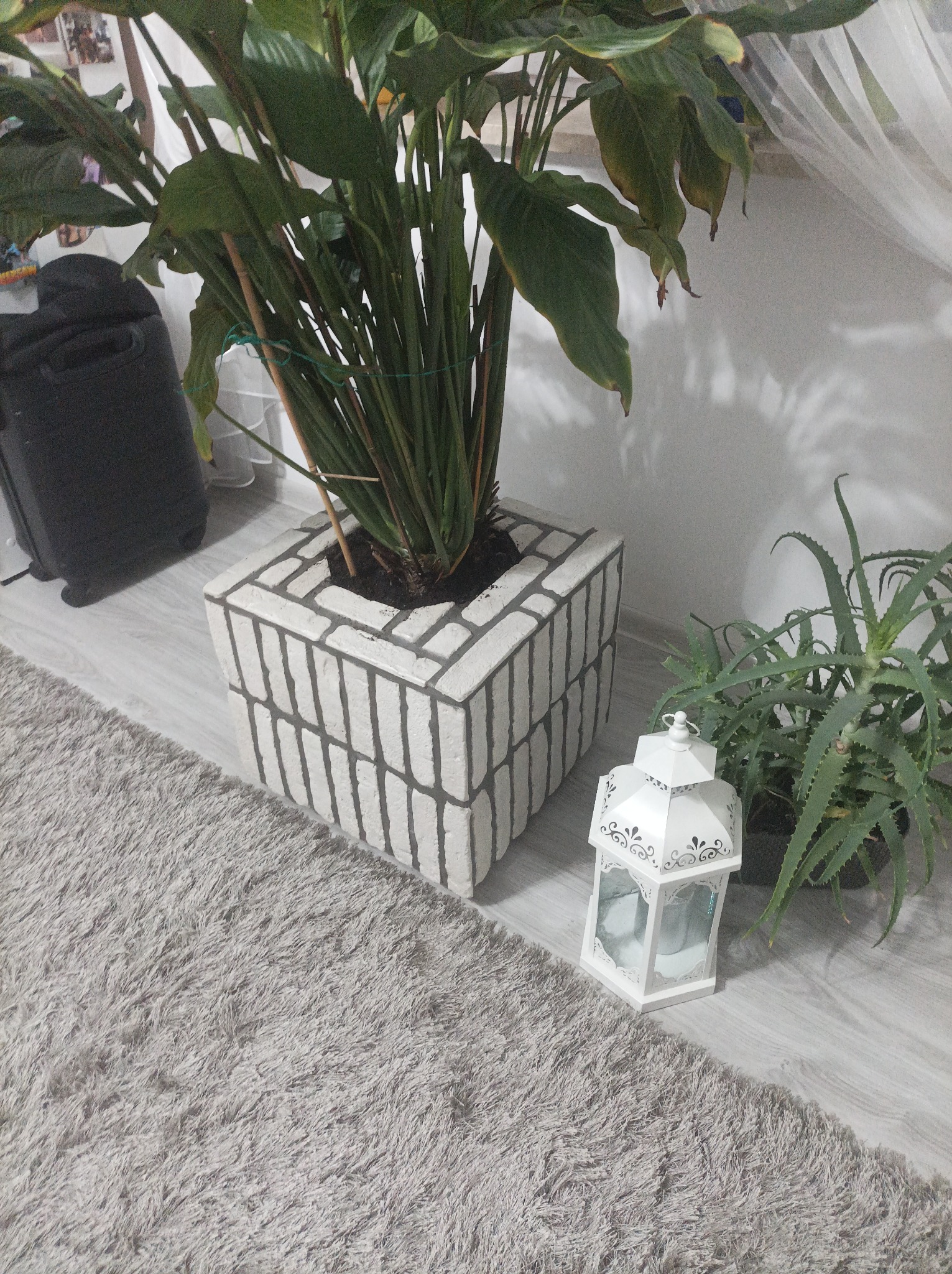 Dekoracyjny, murowany kwietnik z rośliną doniczkową, lampion i aloes na podłodze w Szczucinie. Kwietnik pomalowany na biało z szarą fugą.