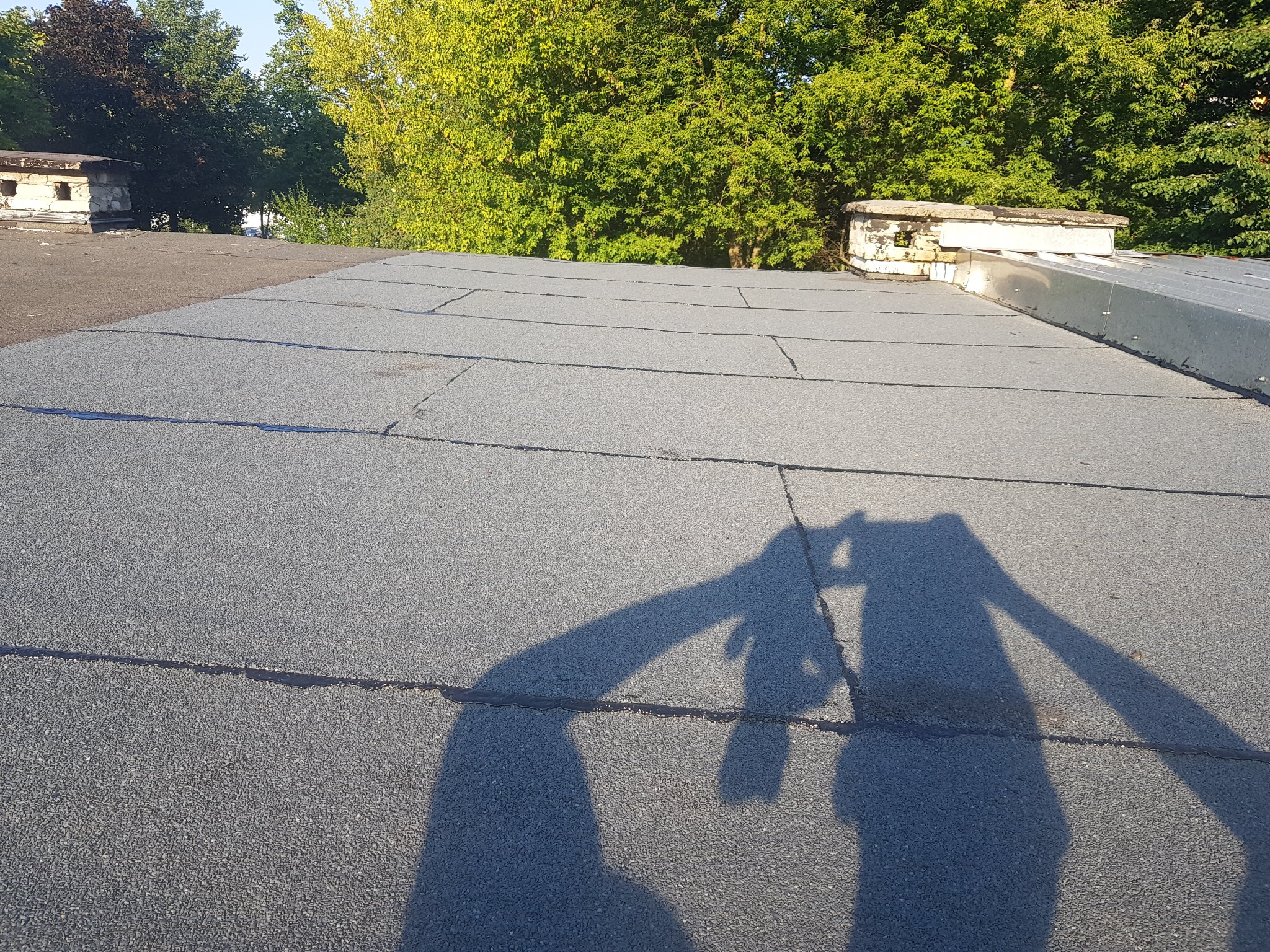 Płaski dach pokryty papą, widoczne łączenia i cień osoby robiącej zdjęcie, w tle drzewa i kominy wentylacyjne.