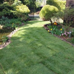 Anatolii Kononchuk Twój Ogrodnik - Świeżo ułożona trawa z rolki w ogrodzie z oczkiem wodnym, widoczne ślady po łączeniach, tulipany i inne kwiaty wzdłuż ścieżki, butelka wody obok lampy ogrodowej.