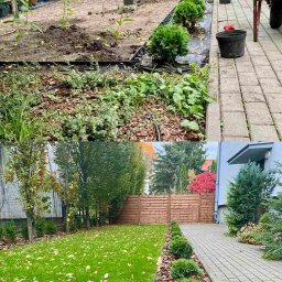 Trawa z rolki Nieporęt 4