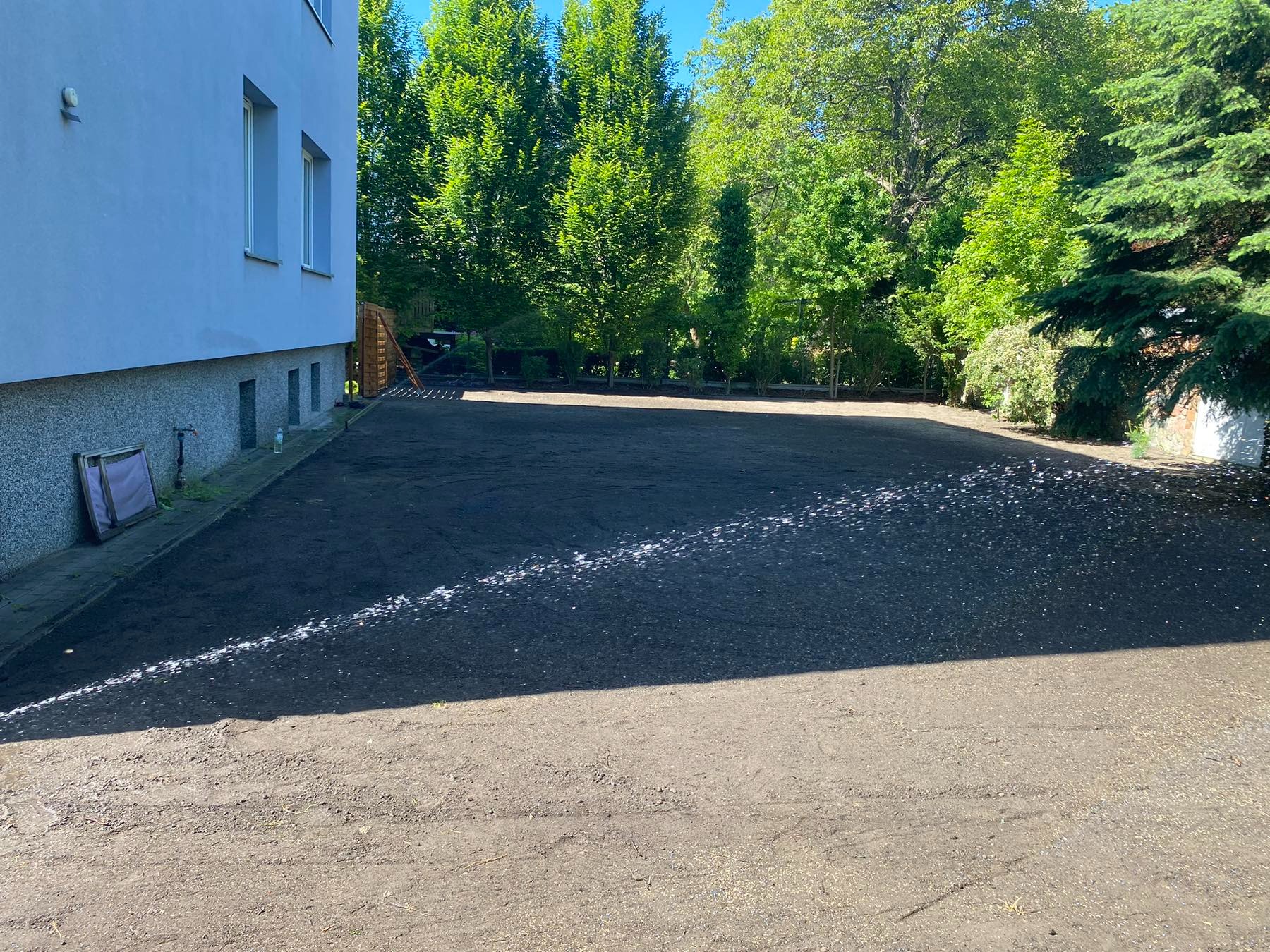 Przygotowany teren pod przyszły trawnik: wyrównana, ciemna ziemia, widoczne ślady po nawadnianiu, budynek z boku, drzewa w tle.