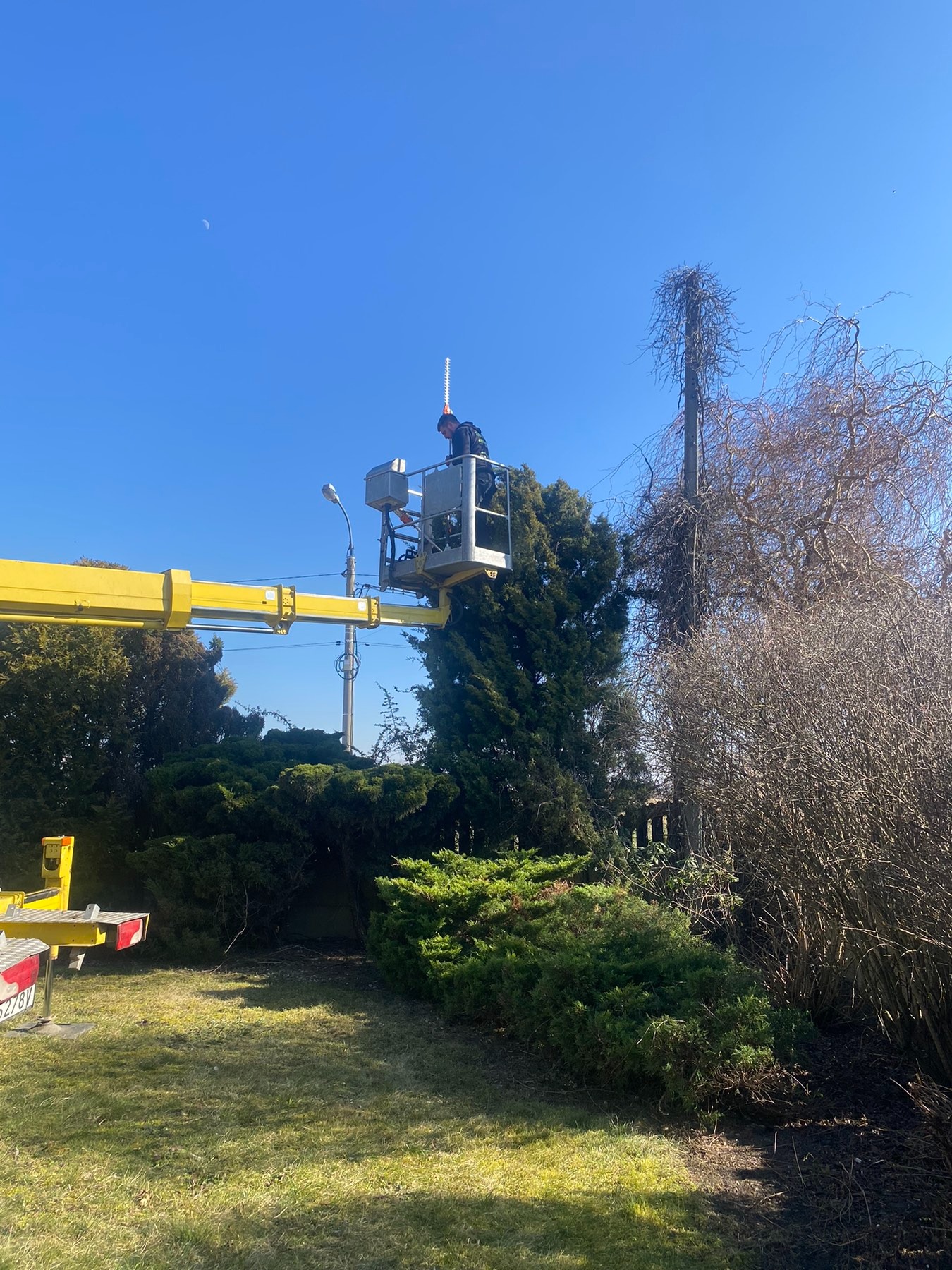 Pracownik w podnośniku koszowym, z piłą spalinową na wysięgniku, przycina gałęzie drzewa obok słupa oświetleniowego w słoneczny dzień.