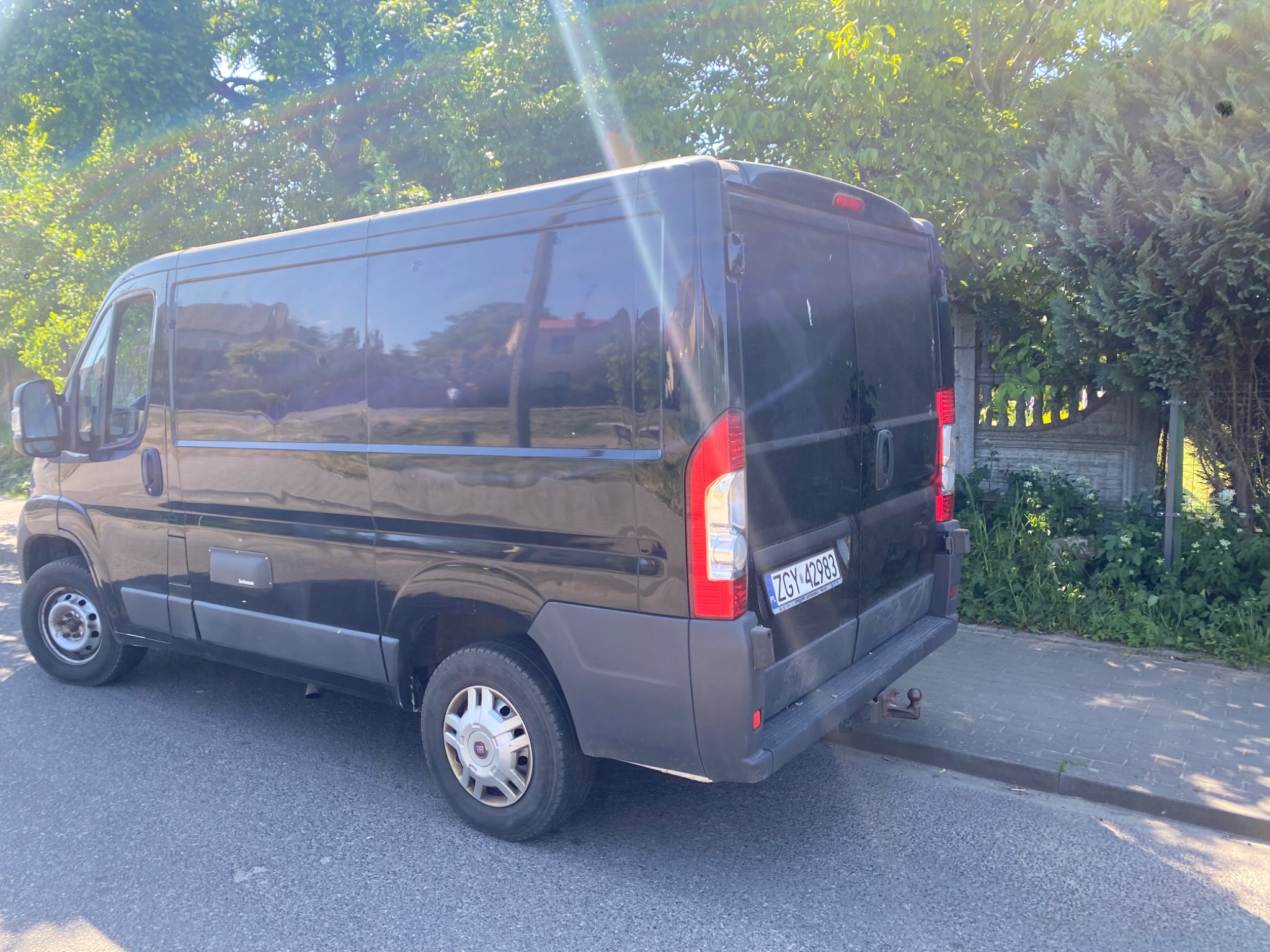 Czarny samochód dostawczy marki Fiat zaparkowany na ulicy w słoneczny dzień, widoczny z tyłu, z numerem rejestracyjnym ZGY 42983.