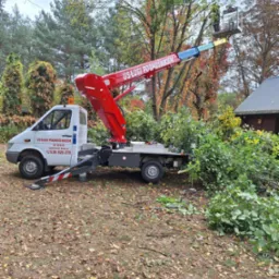 Podnośnik koszowy WUMAG na białym samochodzie dostawczym z napisem 'USŁUGI PODNOŚNIKIEM W-HAŁAS', pracownik w koszu na tle drzew podczas przycinania gałęzi, zrębki na pace.