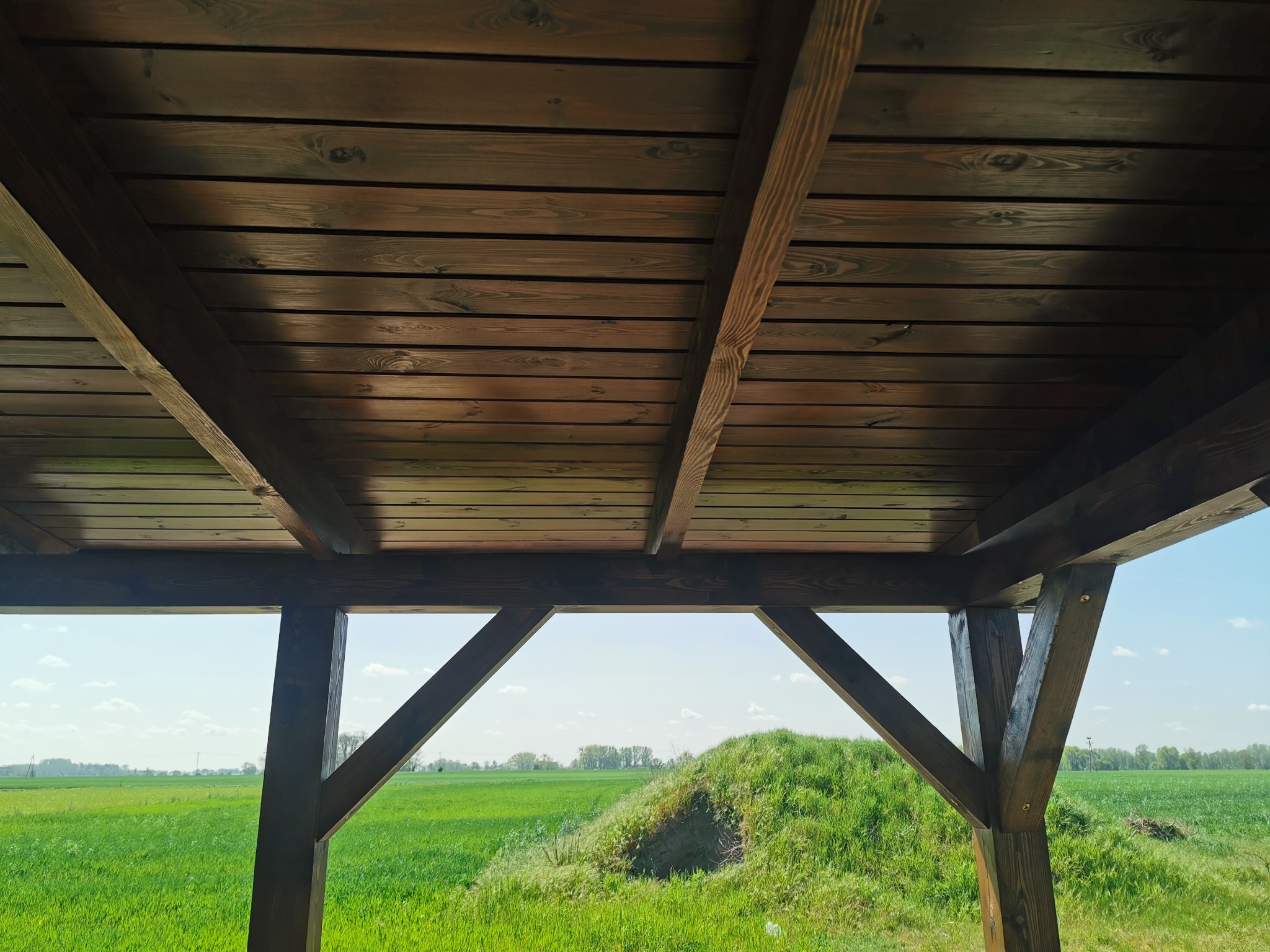 Drewniana konstrukcja z widokiem na zielone pole i niebo, ciemne drewno bejcowane z widocznymi słojami, złączenia belek na śruby.