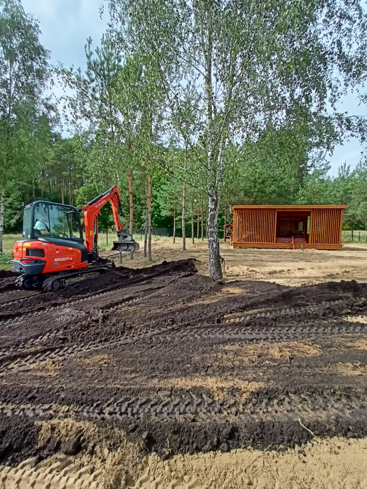 Pomarańczowa mini koparka Kubota KX027-4 wyrównuje teren pod budowę drewnianej altany na działce z brzozami i sosnami w tle.