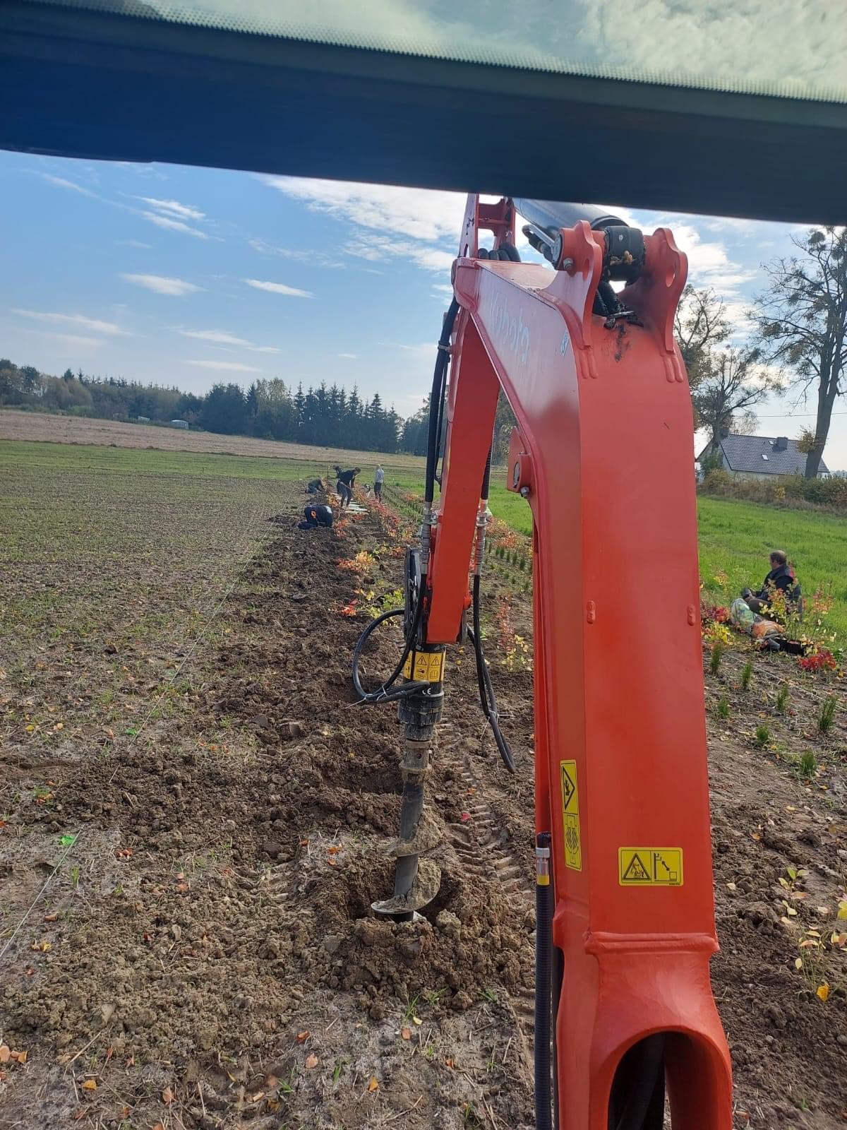 Wiercenie otworów w ziemi za pomocą wiertnicy Kubota zamontowanej na ramieniu koparki, w tle pracownicy sadzący drzewka w rzędach na polu w słoneczny dzień.