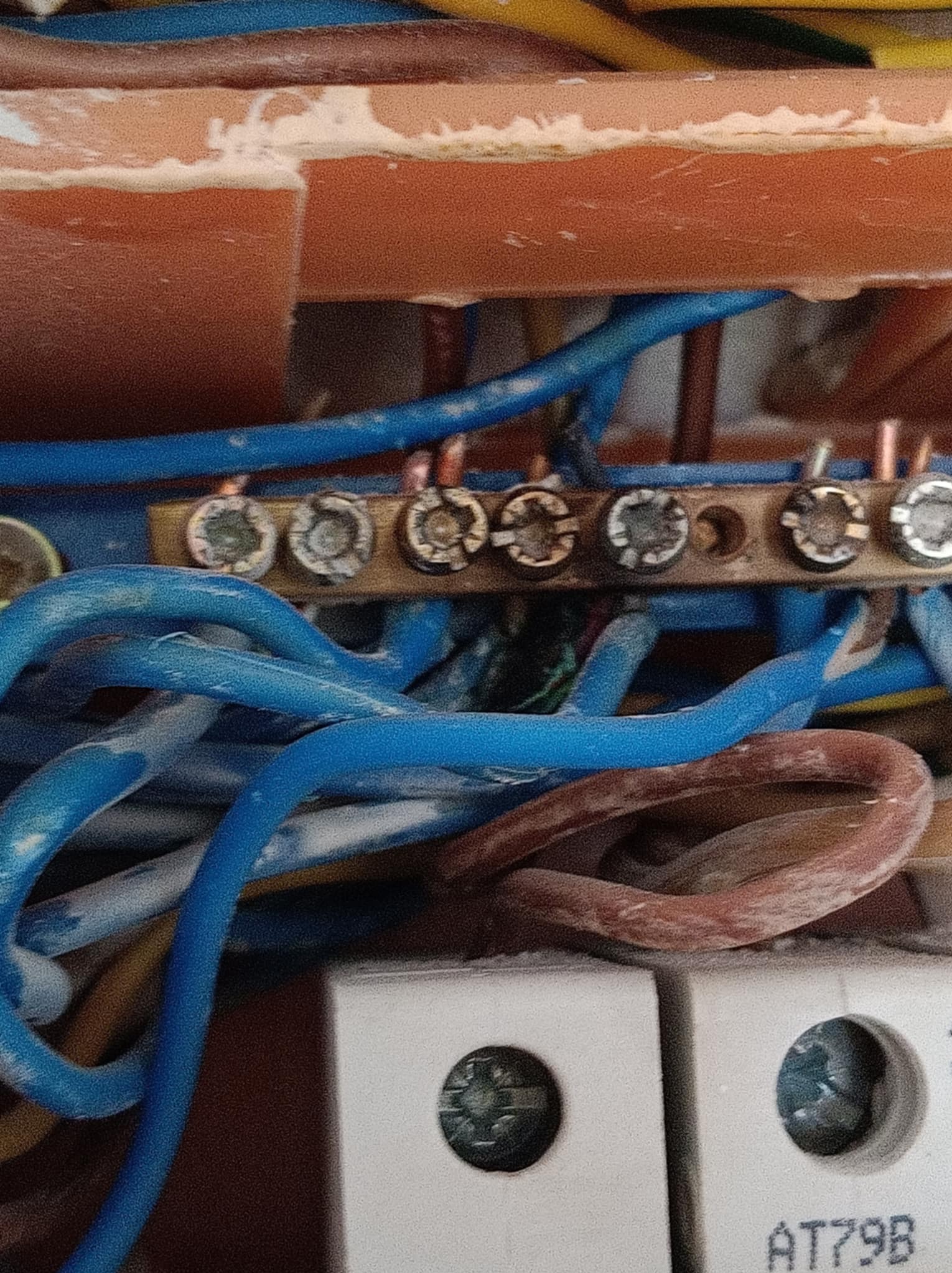 Detaliczne zbliżenie na listwę zaciskową z niebieskimi i brązowymi przewodami w instalacji elektrycznej. Widoczne śruby i oznaczenia na białej obudowie.