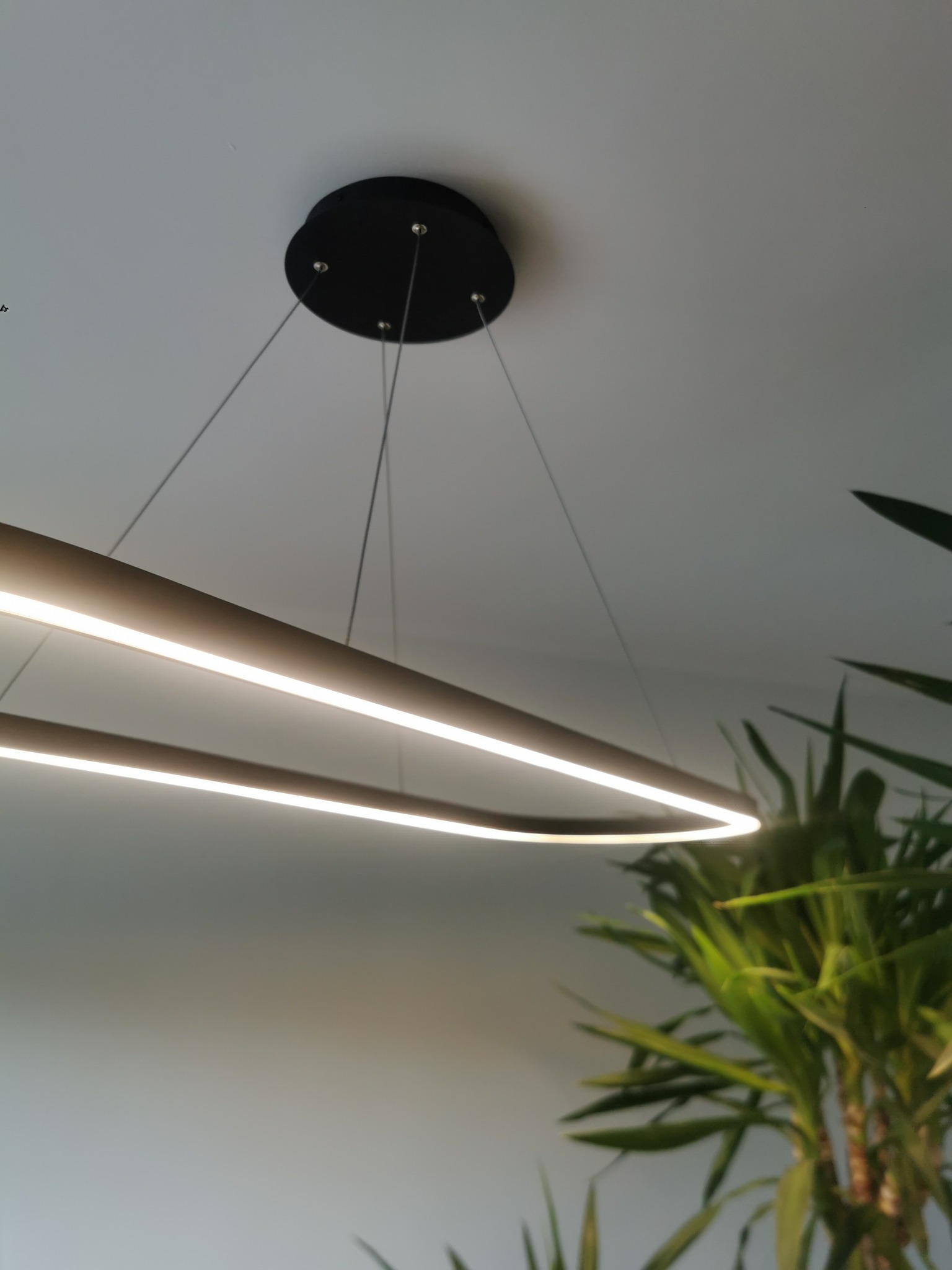 Nowoczesna lampa wisząca LED w kształcie dwóch okręgów, zawieszona na cienkich linkach, z fragmentem zielonej rośliny w tle.