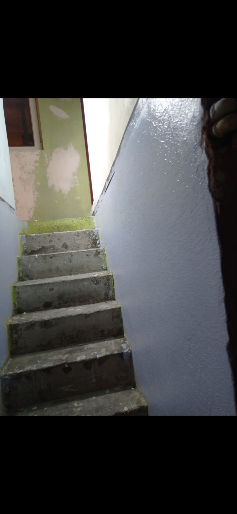 Betonowe schody pokryte mchem, prowadzące w dół, z świeżo pomalowaną na szaro ścianą po prawej stronie, widoczne ślady po łatach na ścianie w tle.