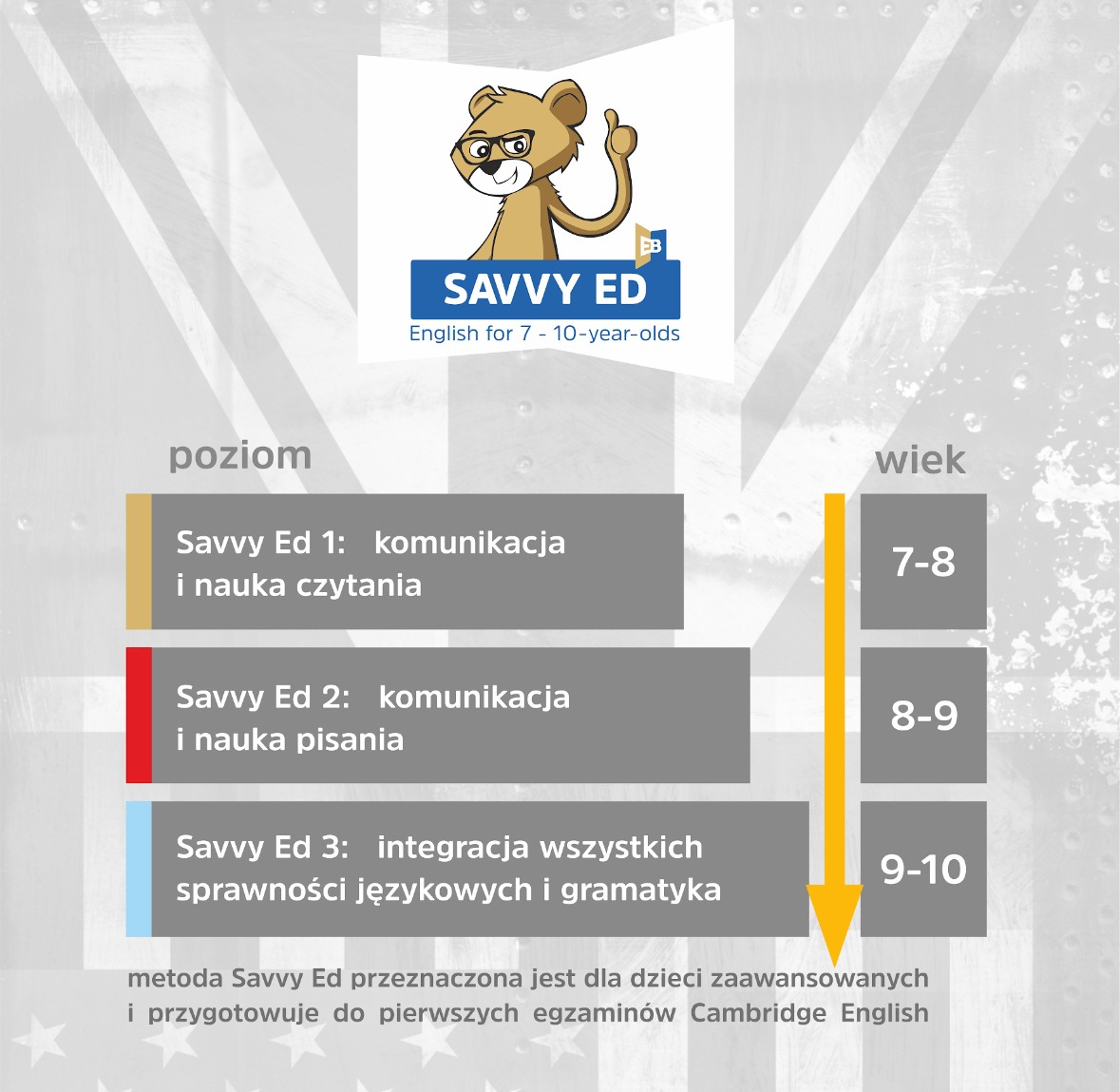 Grafika informacyjna prezentująca poziomy nauczania języka angielskiego Savvy Ed dla dzieci w wieku 7-10 lat, z podziałem na komunikację, czytanie, pisanie i gramatykę, z logo lwa w okularach.
