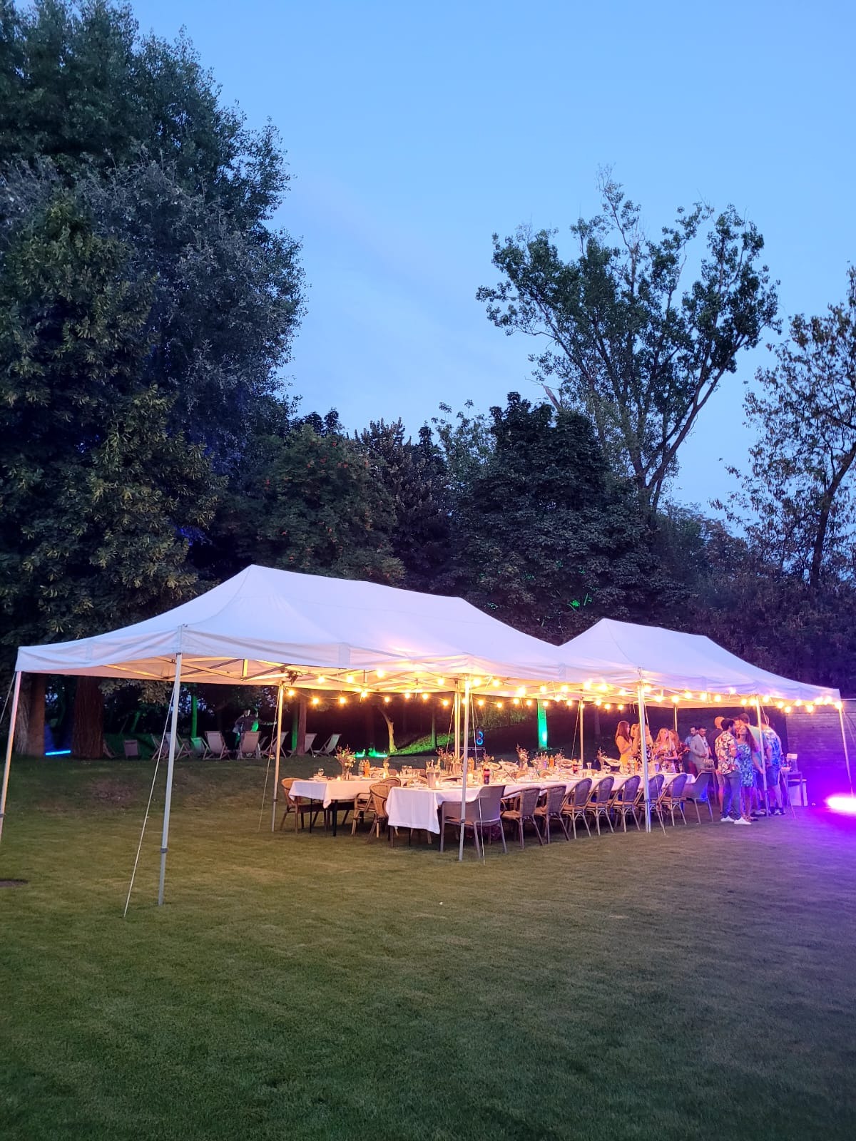 Uroczyste przyjęcie na świeżym powietrzu pod białym namiotem, oświetlonym girlandami żarówek, z ustawionymi stołami i krzesłami, oświetlone dodatkowo fioletowym światłem, na tle zieleni drzew...