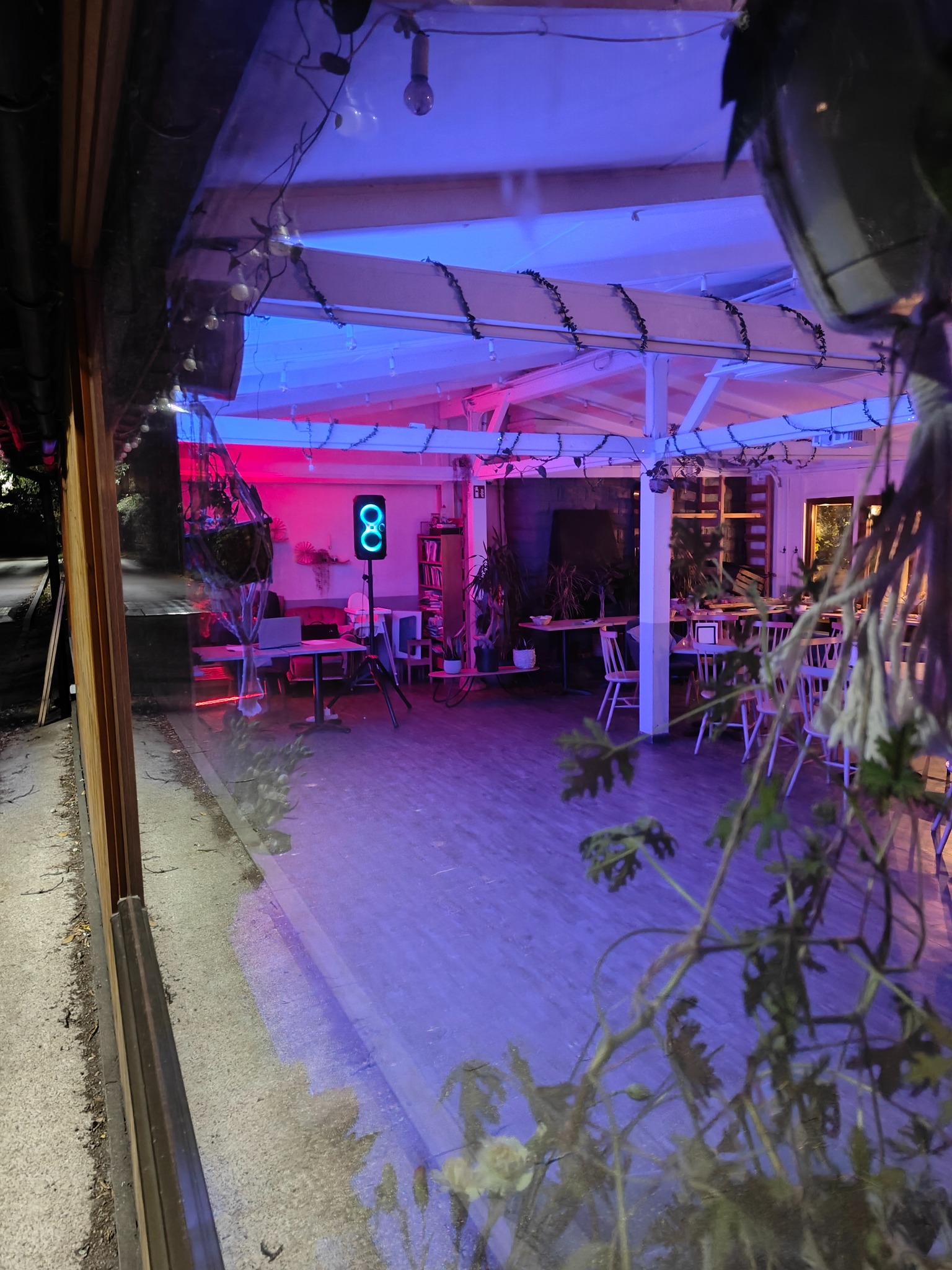 Wnętrze sali z białymi krzesłami i stołami, oświetlone niebieskim i czerwonym światłem, widok przez brudną szybę z roślinami.