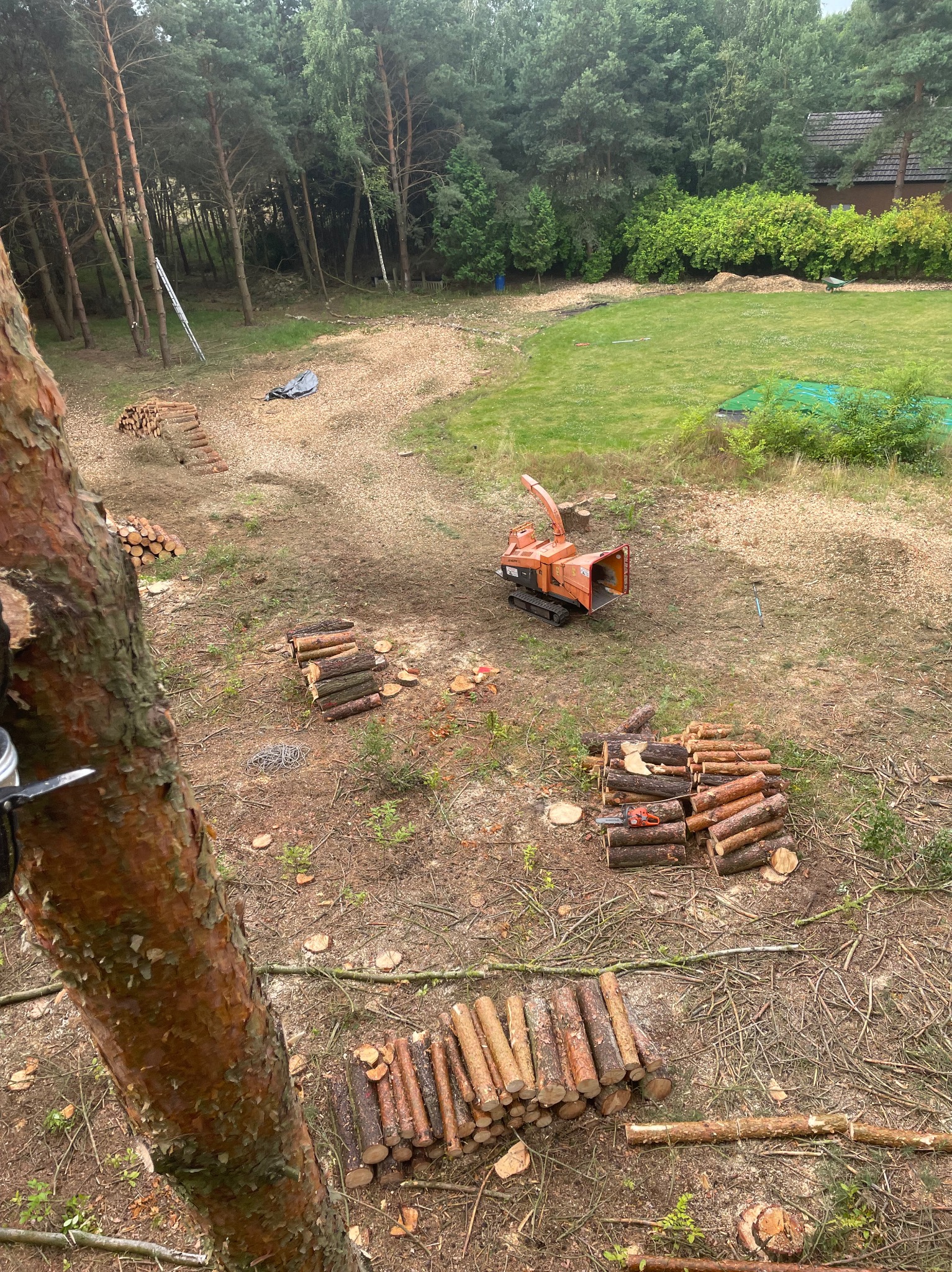Widok z góry na teren po wycince drzew: stosy pociętych pni, pomarańczowa rębarka do gałęzi na gąsienicach, w oddali trawnik i budynek gospodarczy.