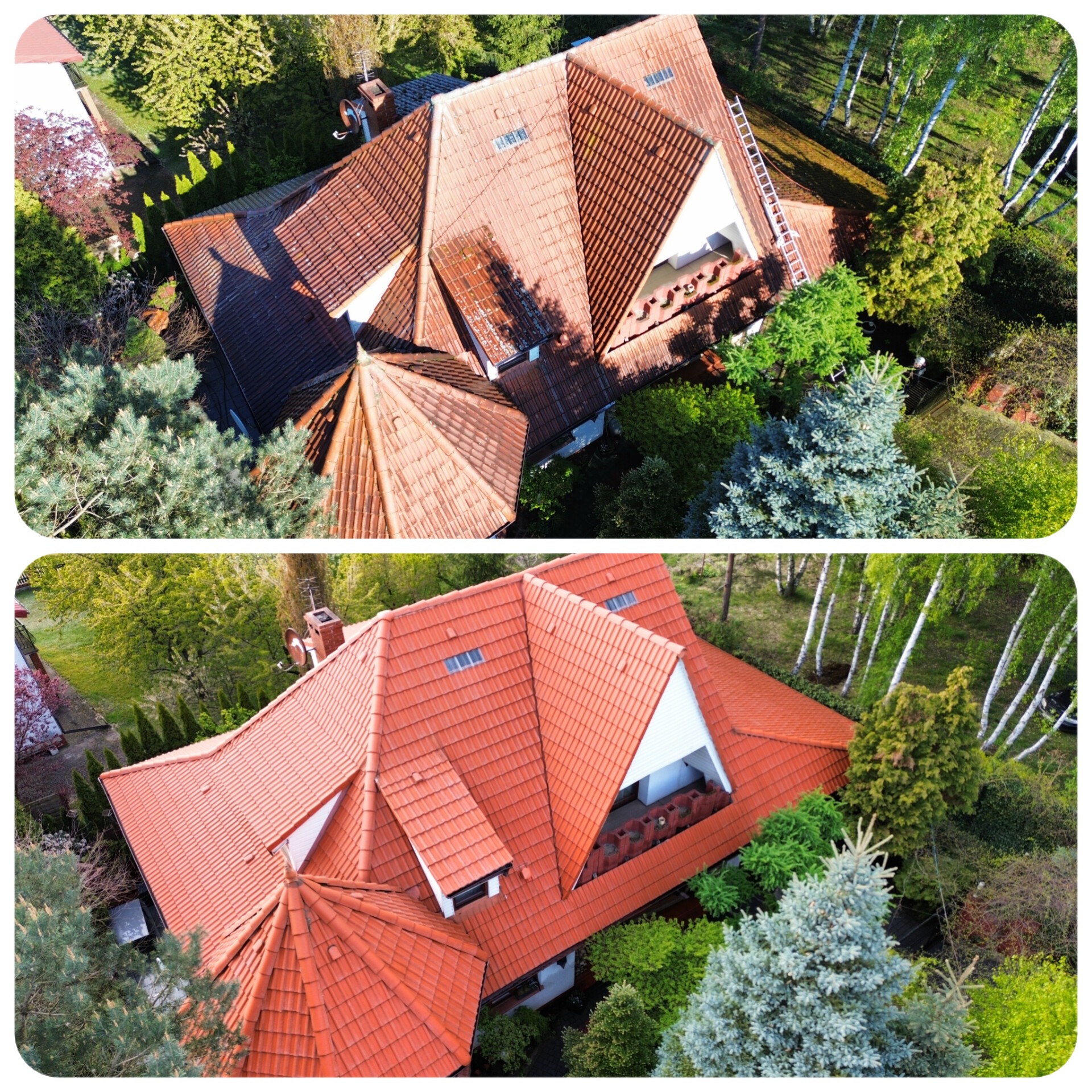 Zdjęcie dachu domu przed i po czyszczeniu, widok z góry. Połowa dachu wyczyszczona, druga pokryta zabrudzeniami. Czerwona dachówka, zielone drzewa dookoła.