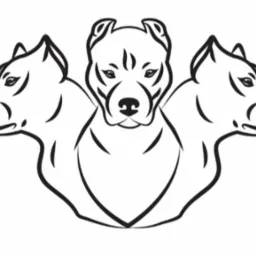Grafika wektorowa przedstawiająca trzy głowy psa rasy pitbull w stylu line art na białym tle, skierowane w różne strony.