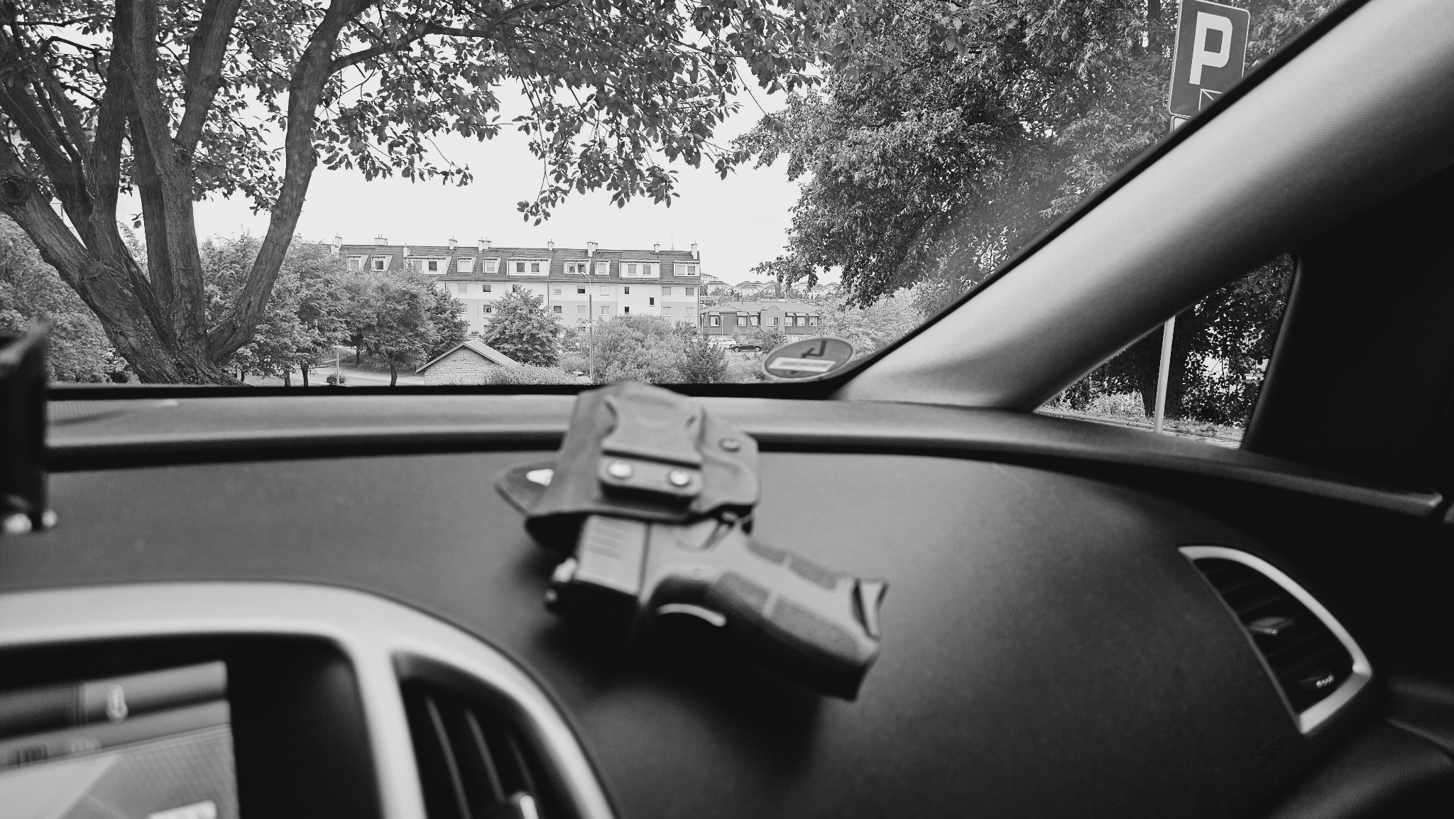 Żmudna obserwacja, czasami trzeba patrzeć godzinami w jednym kierunku by uchwycić krótki moment.