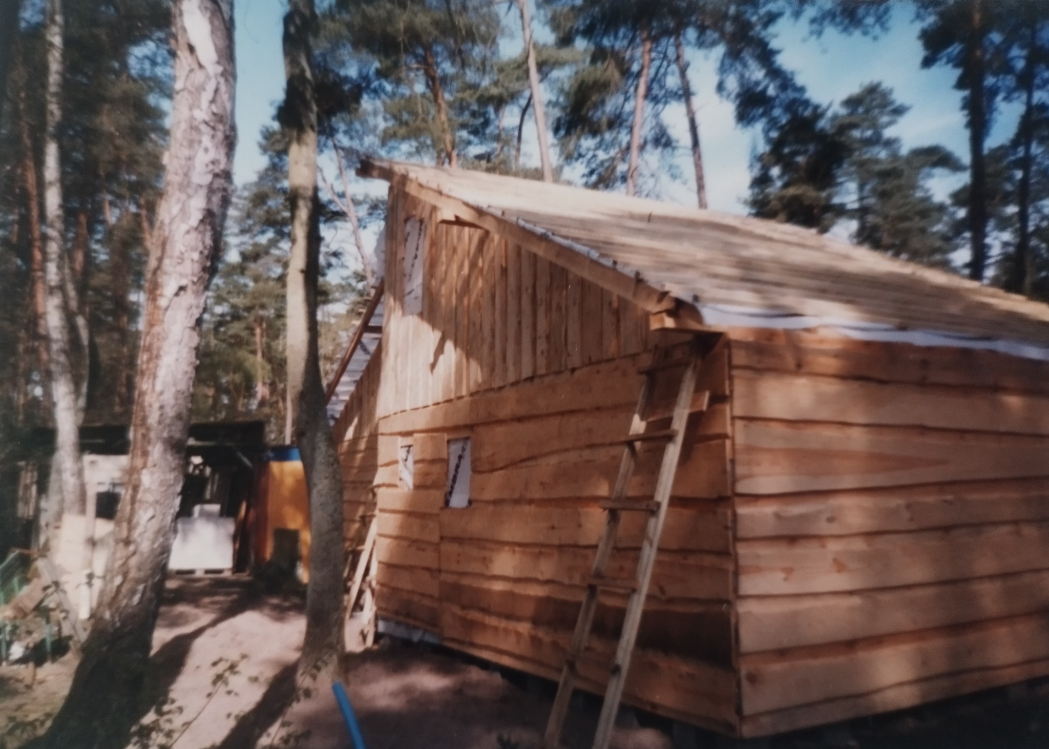 Surowy, drewniany dom w lesie, w trakcie budowy. Widoczne deski, drabina oparta o ścianę, drzewa w tle. Budowa w toku, z surowym wykończeniem.