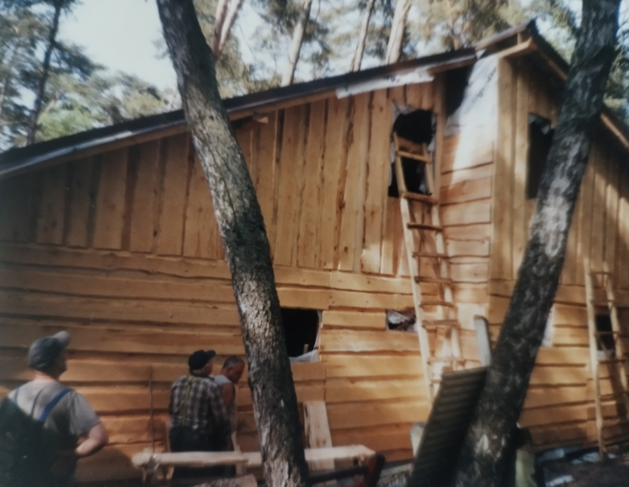 Budowa domu z bali w lesie, widoczne fragmenty ścian z otworami okiennymi, drabina oparta o ścianę, trzech mężczyzn obserwuje postęp prac. Surowy stan.