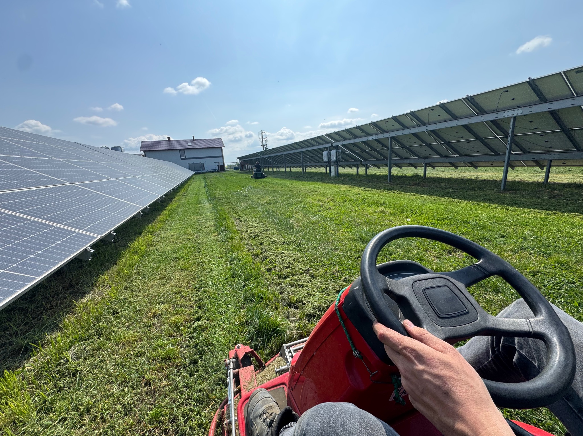 Osoba na czerwonej kosiarce traktorku tnie trawę między rzędami paneli słonecznych w słoneczny dzień. W tle widoczny budynek.