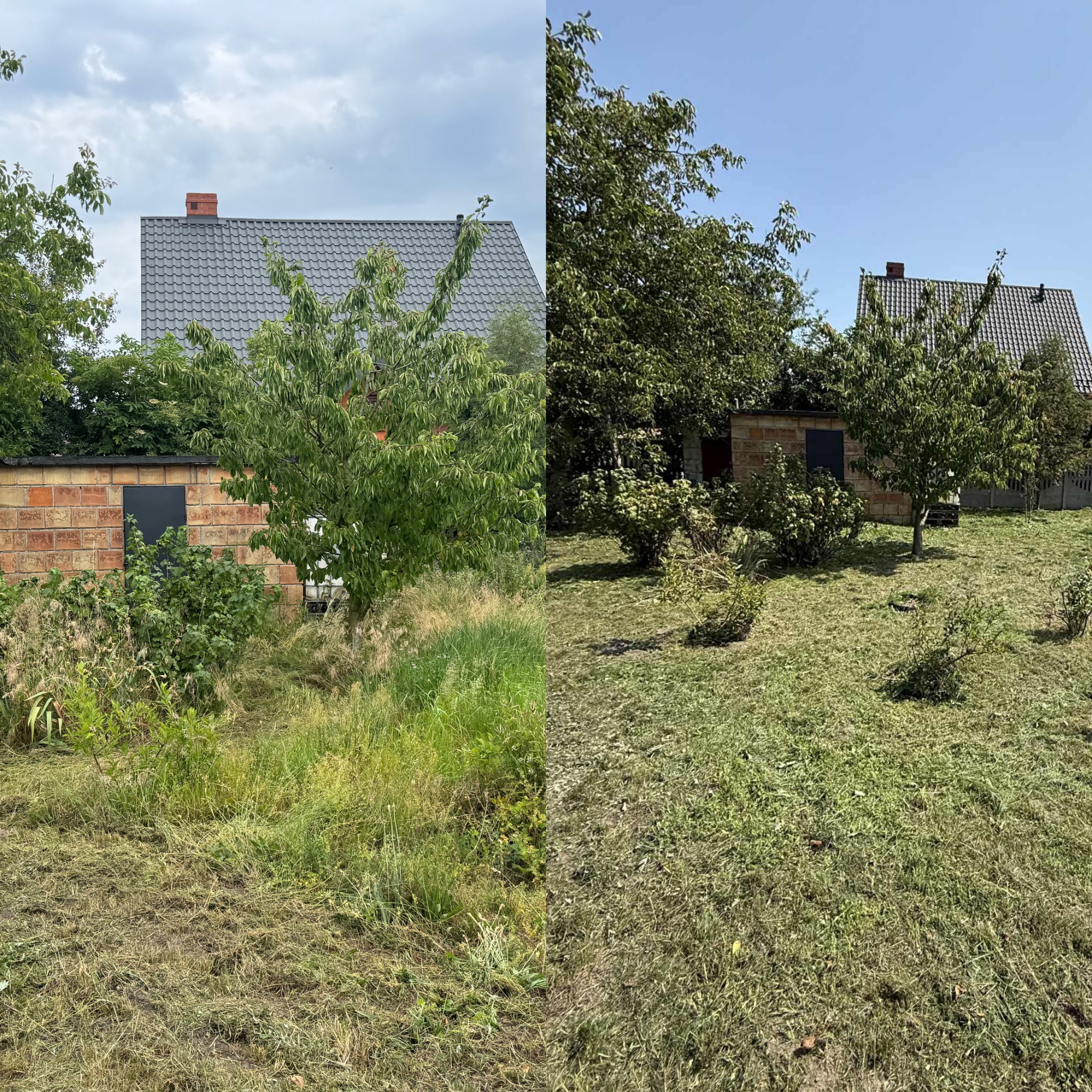 Zdjęcie 'przed i po' koszenia trawy na działce z budynkiem w tle. Po lewej stronie trawa wysoka, po prawej krótko przystrzyżona. Widoczne drzewa i krzewy.