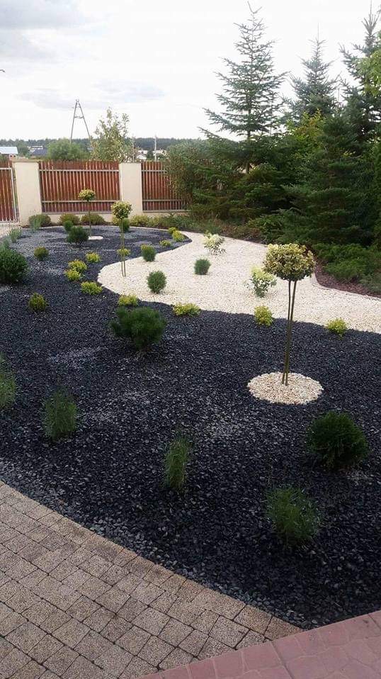 Ogród z dekoracyjnym czarnym i białym żwirem, niskie krzewy i formowane drzewka, widoczny fragment kostki brukowej.
