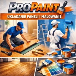 Propaint - Czyszczenie Dach&oacute;wki Krosno