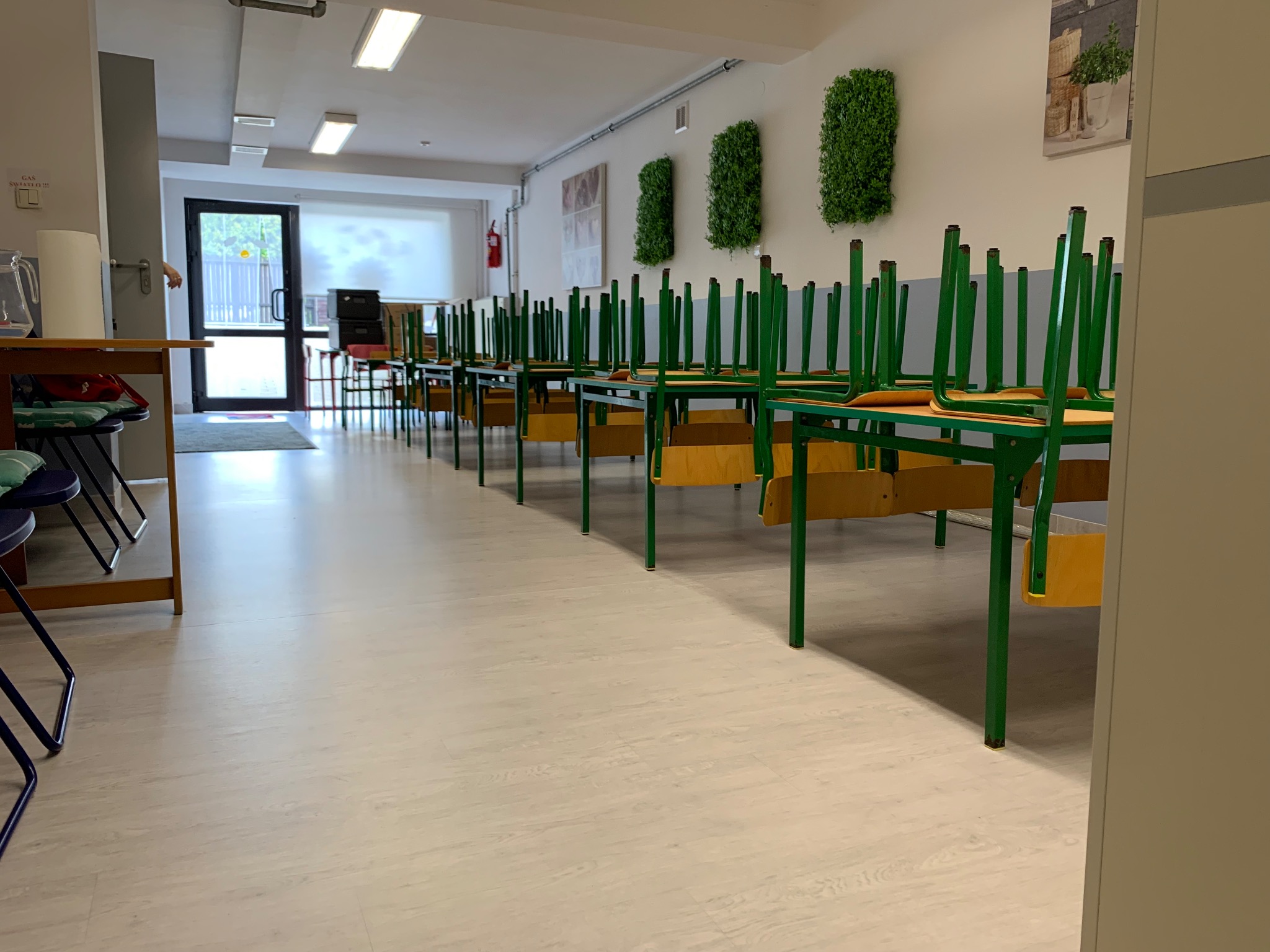 Jasna, pusta sala z podłogą imitującą drewno, rzędy zielonych stołów z odwróconymi krzesłami, dekoracje z zielonych roślin na ścianie, widok na otwarte drzwi.