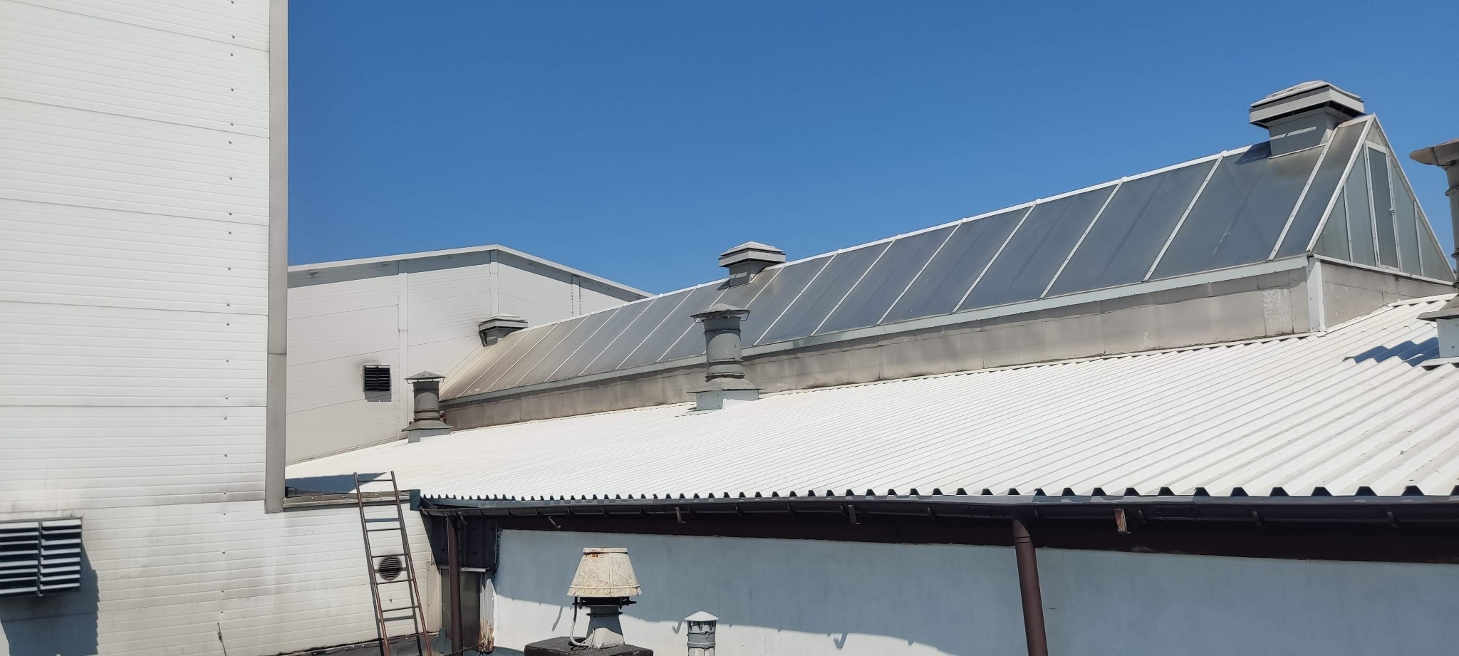 Biały, falisty dach przemysłowy z szarymi kominami wentylacyjnymi i świetlikiem dachowym, widoczne rynny i drabina oparta o ścianę budynku.