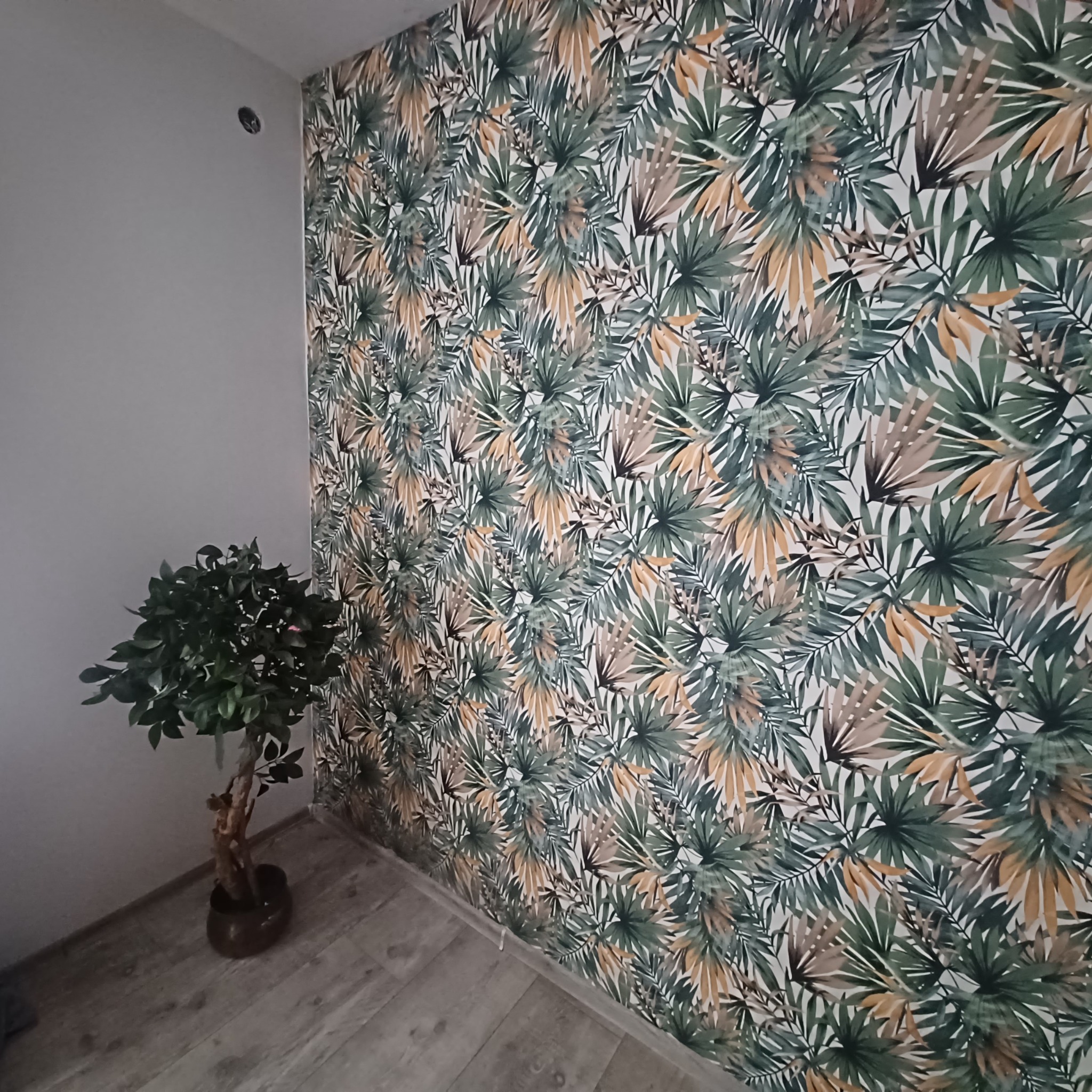 Ściana pokryta tapetą w tropikalne liście, obok stoi mała roślina doniczkowa, widoczna na tle szarej ściany i paneli podłogowych.