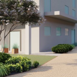 Wycinka drzew Połczyn-Zdrój 1