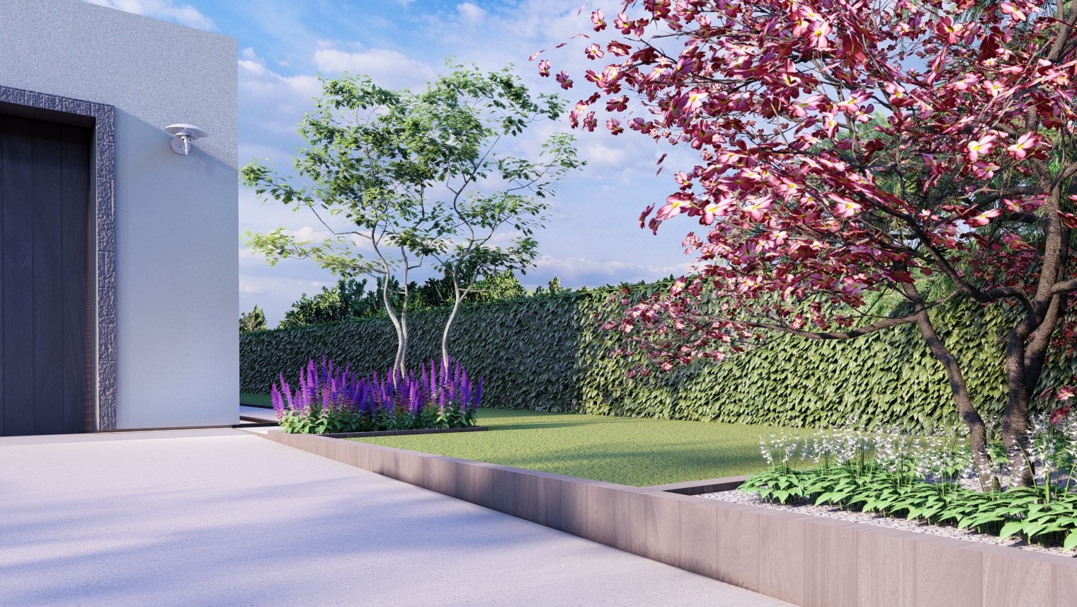 Projekt ogrodu z zielonym trawnikiem, kwitnącymi drzewami i fioletowymi kwiatami, otoczony niskim murem. Widoczny fragment budynku z ciemnymi drzwiami.