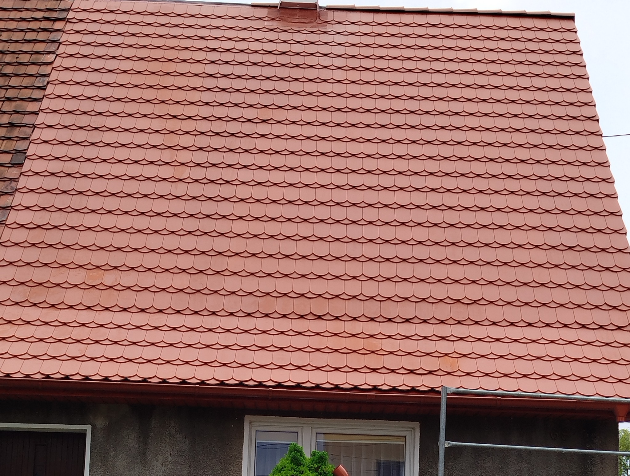 Karpiówka układana w koronkę 160 m2