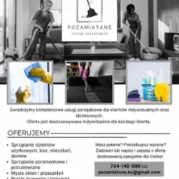 Kolaż zdjęć prezentujący usługi firmy sprzątającej: kobieta odkurzająca dywan, pracownica myjąca podłogę mopem, zbliżenie na czyszczenie tapicerki oraz akcesoria do sprzątania w koszyku.