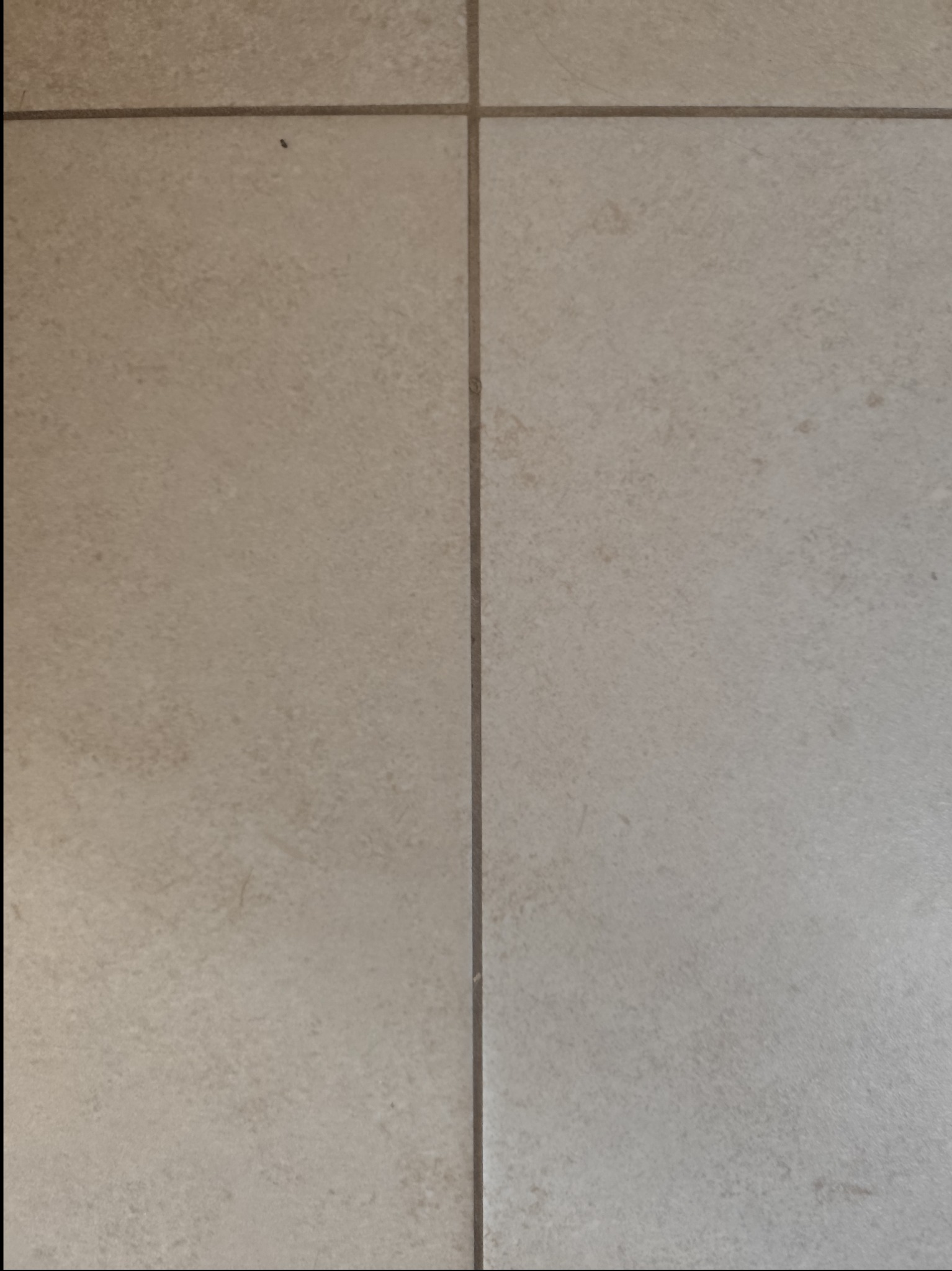 Beżowe płytki podłogowe z ciemniejszymi fugami, widoczny pojedynczy, mały ciemny punkt na jednej z płytek.