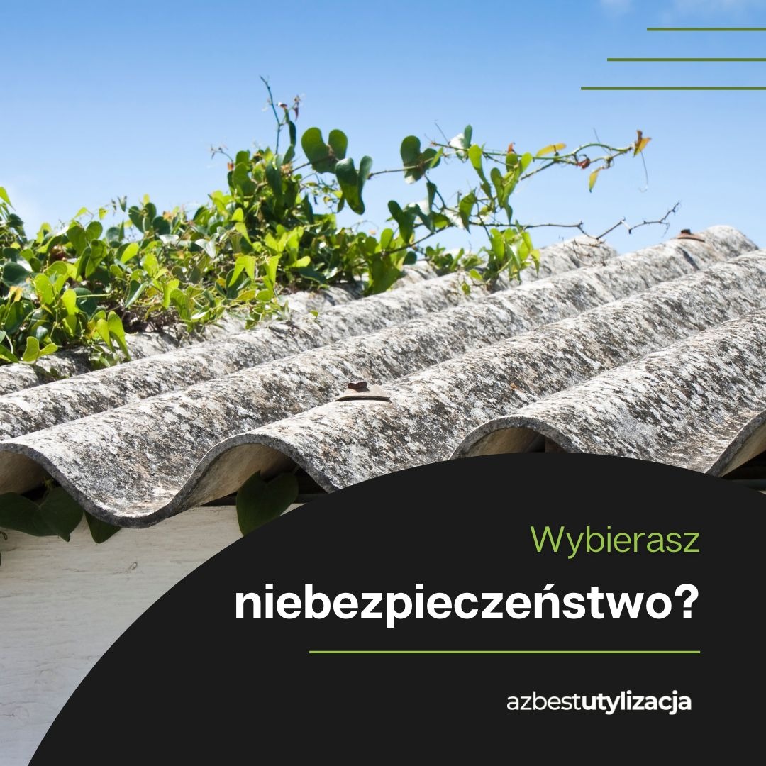Falisty dach pokryty eternitem, porośnięty zielonym bluszczem, na tle błękitnego nieba.