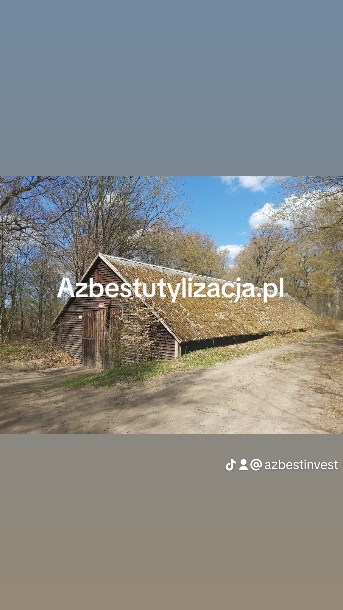 Stary, drewniany budynek gospodarczy z mocno zarośniętym mchem dachem, umieszczony na skraju lasu, z widoczną drogą gruntową i fragmentem błękitnego nieba.