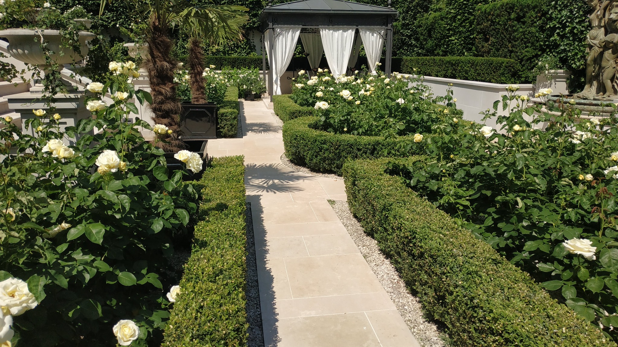 Formalny ogród z równo przyciętymi żywopłotami, ścieżką z jasnych płyt, rabatami białych róż i altaną z białymi zasłonami w tle.