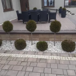 Ogród z kulistymi tujami posadzonymi w białym żwirze, taras z ciemnymi meblami ogrodowymi i brukowana ścieżka z kostki w odcieniach szarości.