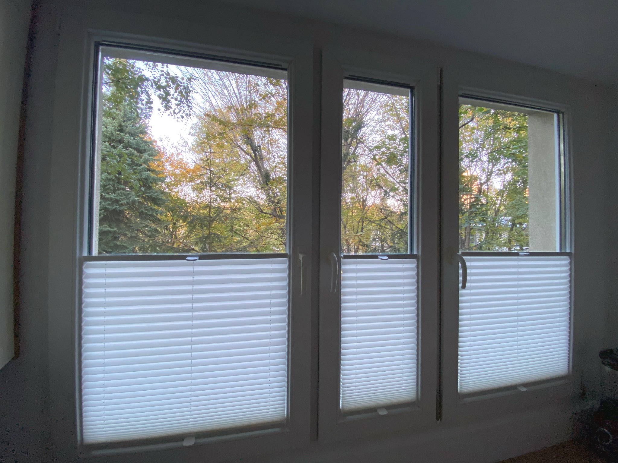 Trzy okna PCV z białymi plisami, widok na jesienne drzewa na zewnątrz.