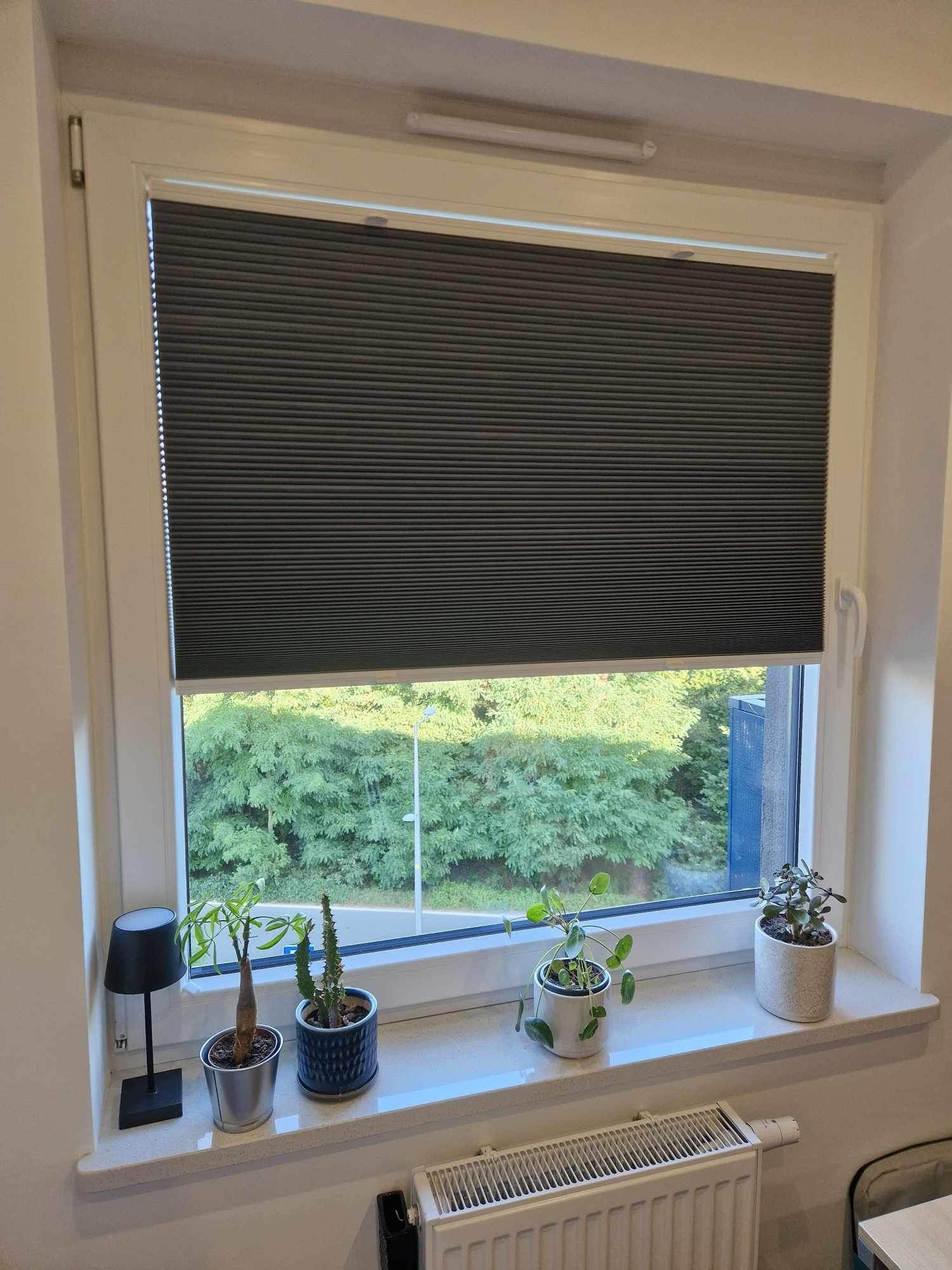 Szara plisa okienna zamontowana w białym oknie PCV, widok na zieleń za oknem, parapet ozdobiony czterema doniczkami z roślinami.