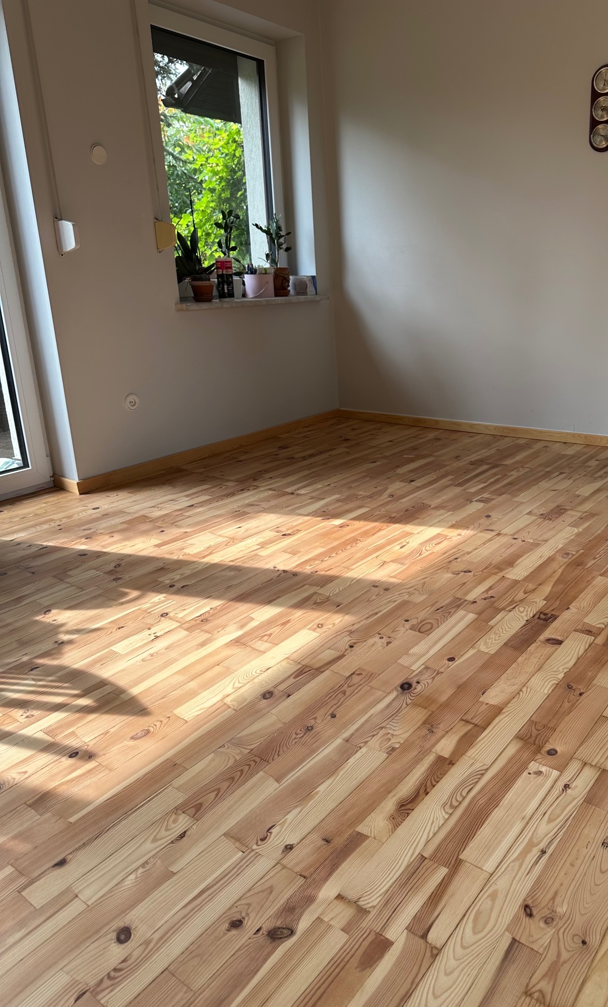 Jasna, odnowiona podłoga z desek w pustym pokoju z oknem i listwami przypodłogowymi. Słoneczne refleksy podkreślają strukturę drewna.