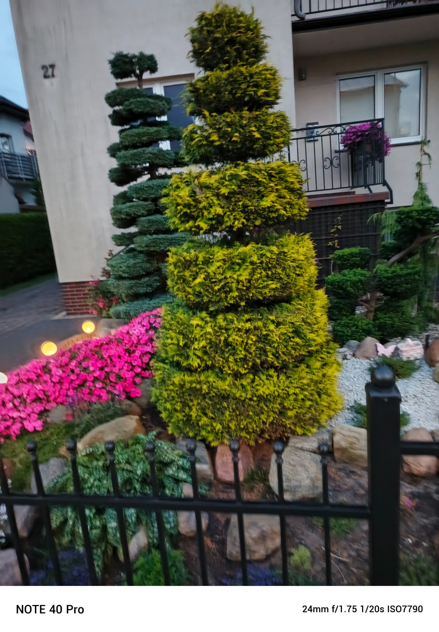 Ozdobne, formowane drzewa iglaste w ogrodzie przed domem z numerem 27, rabata z różowymi kwiatami i oświetleniem punktowym, widok zza czarnego płotku.