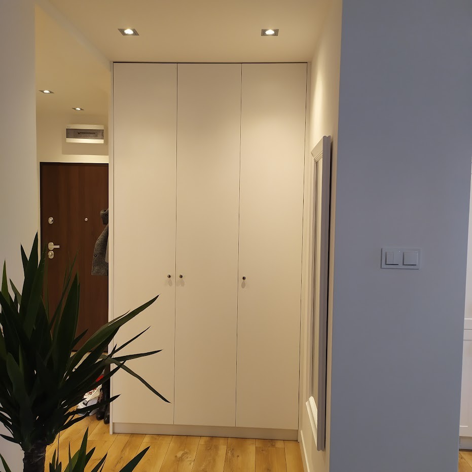 Biała, czterodrzwiowa szafa w przedpokoju z drewnianą podłogą, oświetleniem punktowym i rośliną doniczkową z przodu.