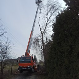 P.H . I U.E. ELBART Bartosz Lewandowski - Pracownik na podnośniku koszowym przycina gałęzie drzewa w Mogielnicy, widoczne linie energetyczne w tle.