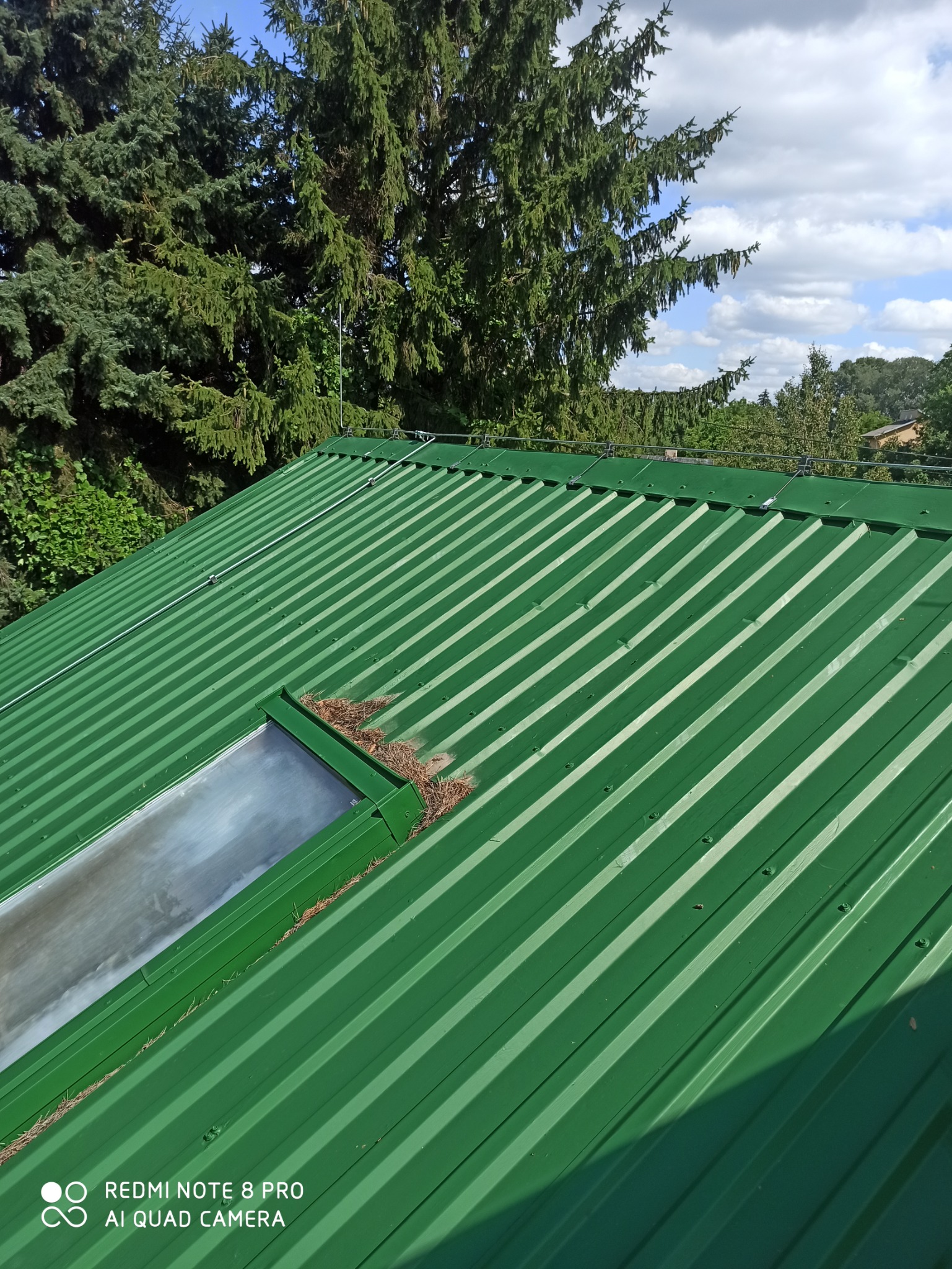 Zielony, blaszany dach z widocznym oknem dachowym, zabezpieczeniem odgromowym i igliwiem na krawędzi okna, na tle drzew i częściowo zachmurzonego nieba.