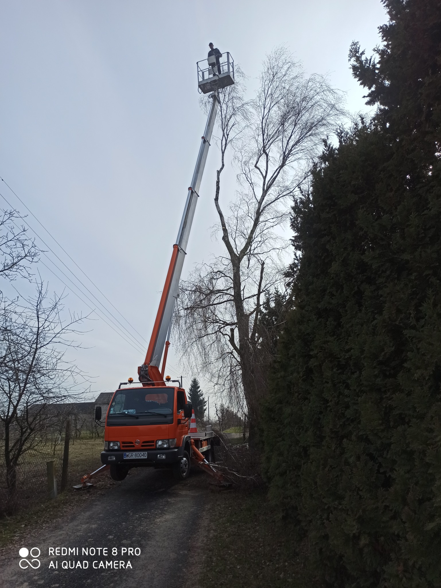 Pracownik na podnośniku koszowym przycina gałęzie drzewa w Mogielnicy, widoczne linie energetyczne w tle.